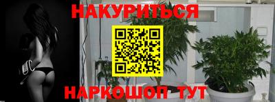 mdpv Краснознаменск