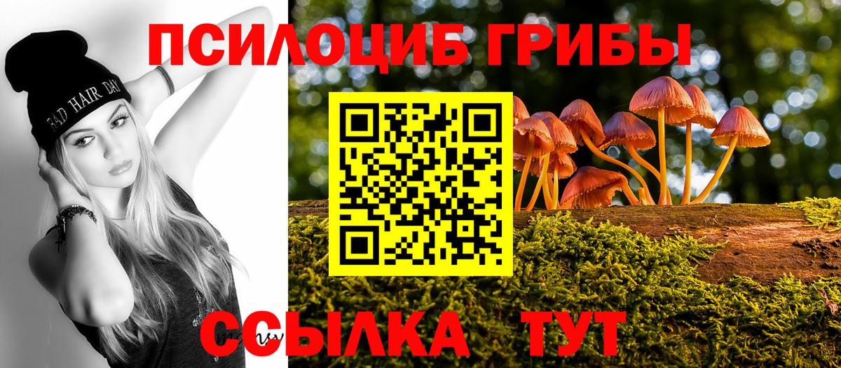 Псилоцибиновые грибы мухоморы  Вход с VPN  Псилоцибиновые грибы мицелий  Ейск 